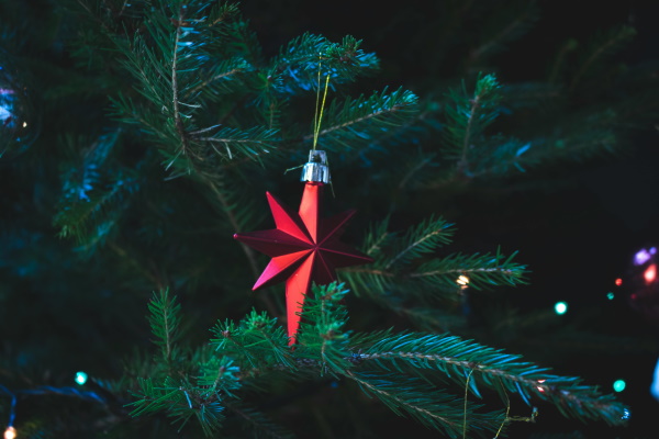 Tree Decorations